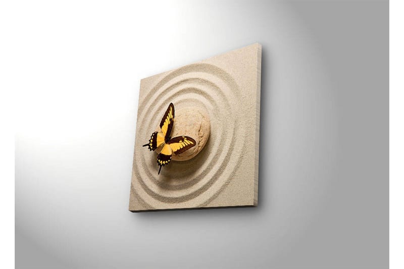 Canvastavla med LED-belysning 40x40 cm - Färgglad fjäril på en sandig yta med cirkulära mönster - Gult / Brunt / Beige - Inredning - Tavlor & konst - Canvastavlor