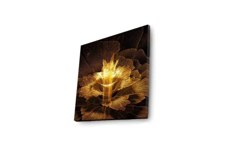 Canvastavla med LED-belysning 40x40 cm - Ljusstrålande blomma i abstrakt stil - Guld / Svart / Brun - Inredning - Tavlor & konst - Canvastavlor
