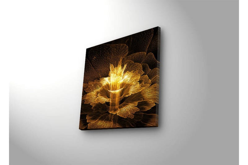 Canvastavla med LED-belysning 40x40 cm - Ljusstrålande blomma i abstrakt stil - Guld / Svart / Brun - Inredning - Tavlor & konst - Canvastavlor