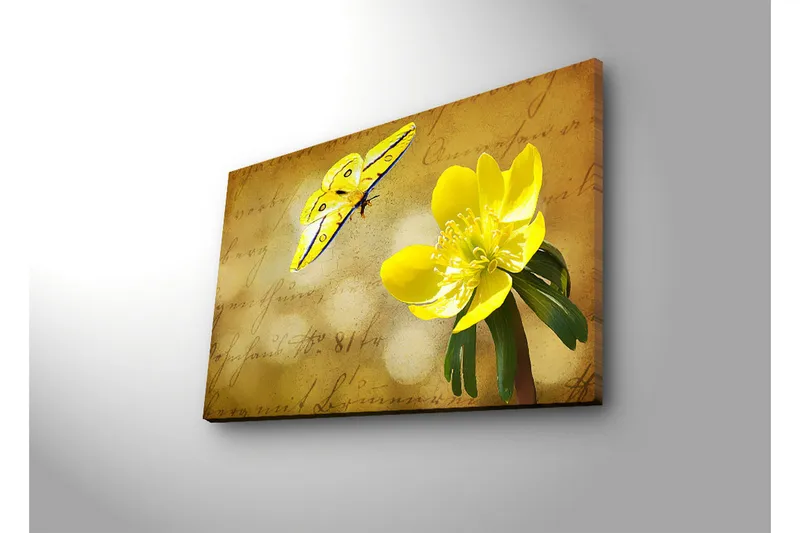 Canvastavla med LED-belysning 45x70 cm - Färgglad fjäril och blomma på en mjukt tonad bakgrund - Gul / Grön / Beige - Inredning - Tavlor & konst - Canvastavlor