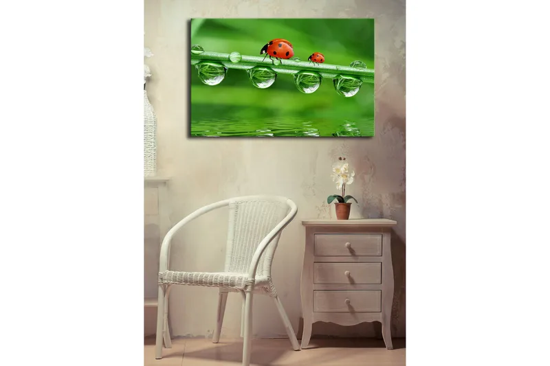 Canvastavla med LED-belysning 45x70 cm - Nyckelpigor på en grön gräslina med vattendroppar - Grön / Röd / Transparent - Inredning - Tavlor & konst - Canvastavlor