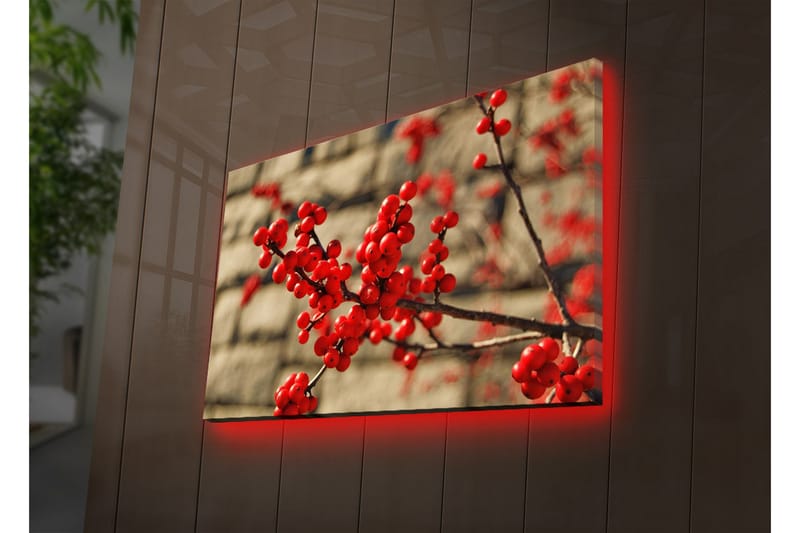 Canvastavla med LED-belysning 45x70 cm - Röd bärklase på en gren - Röd / Brun / Beige - Inredning - Tavlor & konst - Canvastavlor
