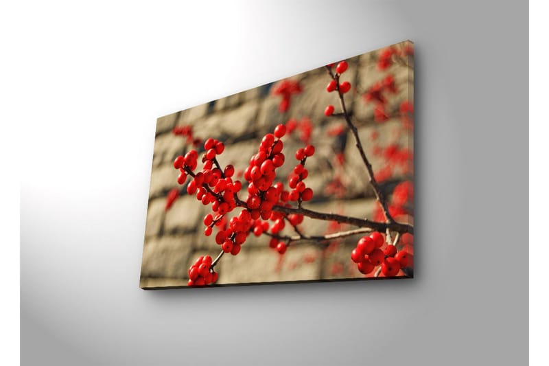 Canvastavla med LED-belysning 45x70 cm - Röd bärklase på en gren - Röd / Brun / Beige - Inredning - Tavlor & konst - Canvastavlor