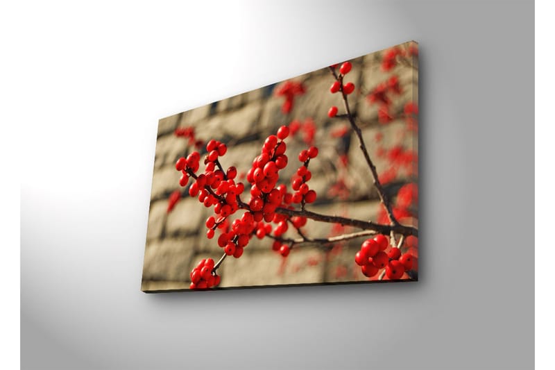 Canvastavla med LED-belysning 45x70 cm - Röd bärklase på en gren - Röd / Brun / Beige - Inredning - Tavlor & konst - Canvastavlor