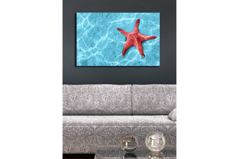 Canvastavla med LED-belysning 45x70 cm - Röd sjöstjärna på en klarblå vattenyta - Röd / Klarblå - Inredning - Tavlor & konst - Canvastavlor