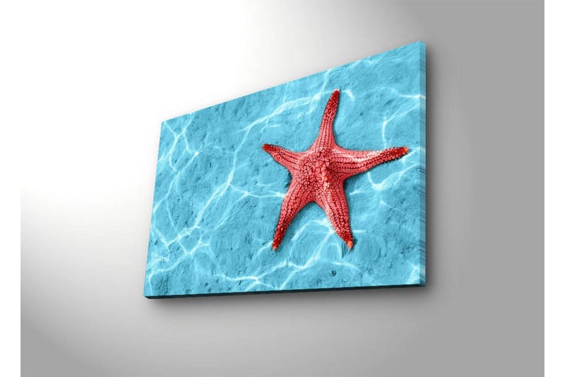 Canvastavla med LED-belysning 45x70 cm - Röd sjöstjärna på en klarblå vattenyta - Röd / Klarblå - Inredning - Tavlor & konst - Canvastavlor