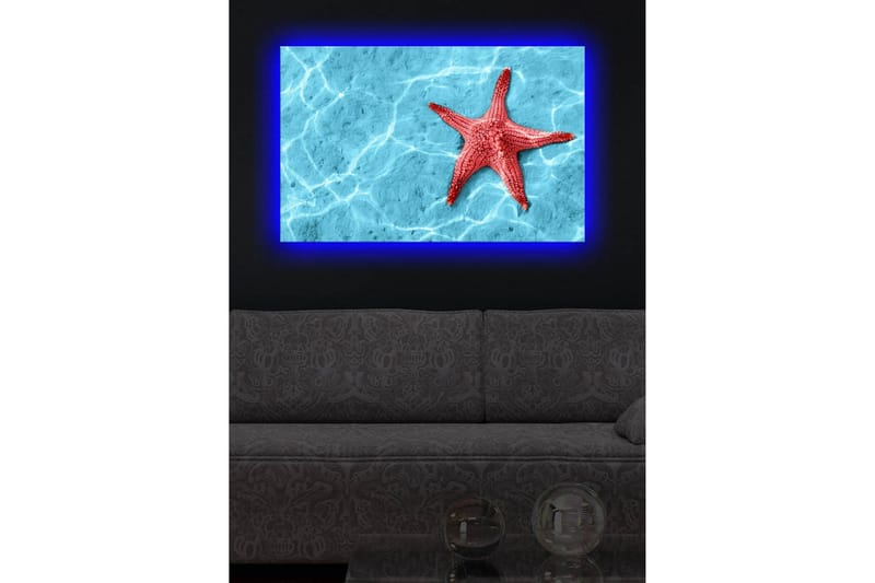 Canvastavla med LED-belysning 45x70 cm - Röd sjöstjärna på en klarblå vattenyta - Röd / Klarblå - Inredning - Tavlor & konst - Canvastavlor