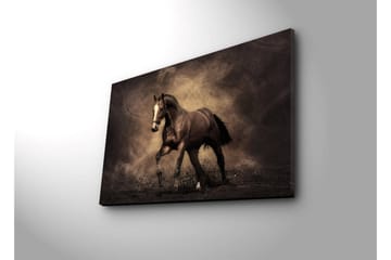 Canvastavla med LED-belysning 45x70 cm - Stolt häst i rörelse - Mörkbrun / Beige / Svart - Inredning - Tavlor & konst - Canvastavlor