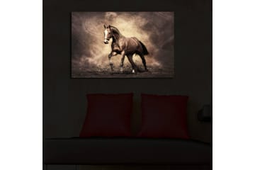 Canvastavla med LED-belysning 45x70 cm - Stolt häst i rörelse - Mörkbrun / Beige / Svart - Inredning - Tavlor & konst - Canvastavlor