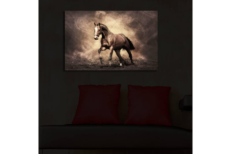 Canvastavla med LED-belysning 45x70 cm - Stolt häst i rörelse - Mörkbrun / Beige / Svart - Inredning - Tavlor & konst - Canvastavlor