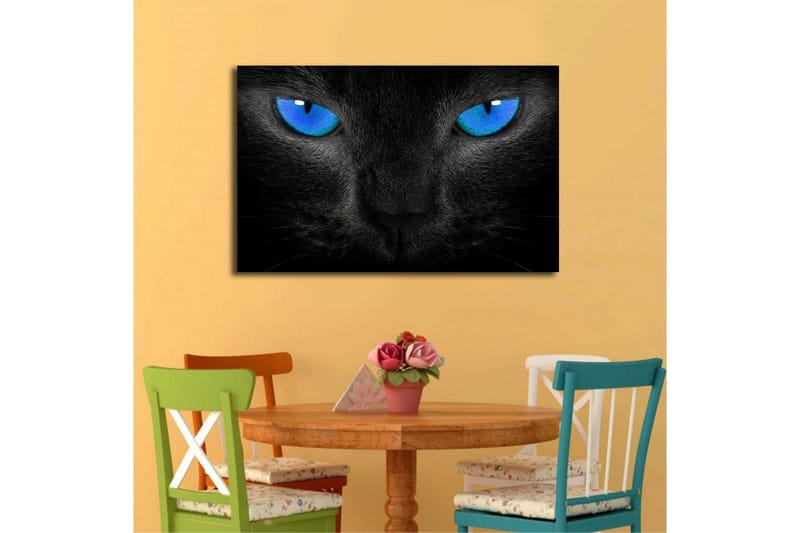 Canvastavla med LED-belysning 45x70 cm - Svart katt med intensiva blå ögon - Svart / Blå - Inredning - Tavlor & konst - Canvastavlor