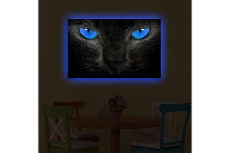 Canvastavla med LED-belysning 45x70 cm - Svart katt med intensiva blå ögon - Svart / Blå - Inredning - Tavlor & konst - Canvastavlor