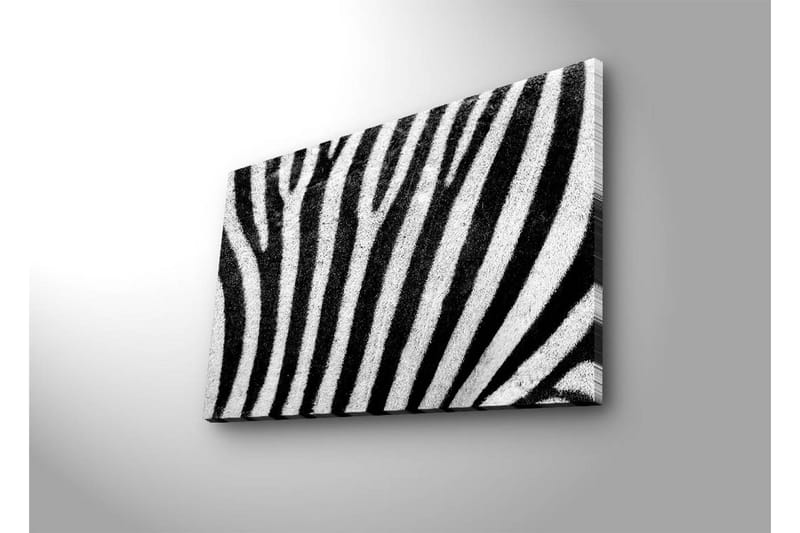 Canvastavla med LED-belysning 45x70 cm - Zebra med kontrasterande svarta och vita ränder - Svart / Vit - Inredning - Tavlor & konst - Canvastavlor