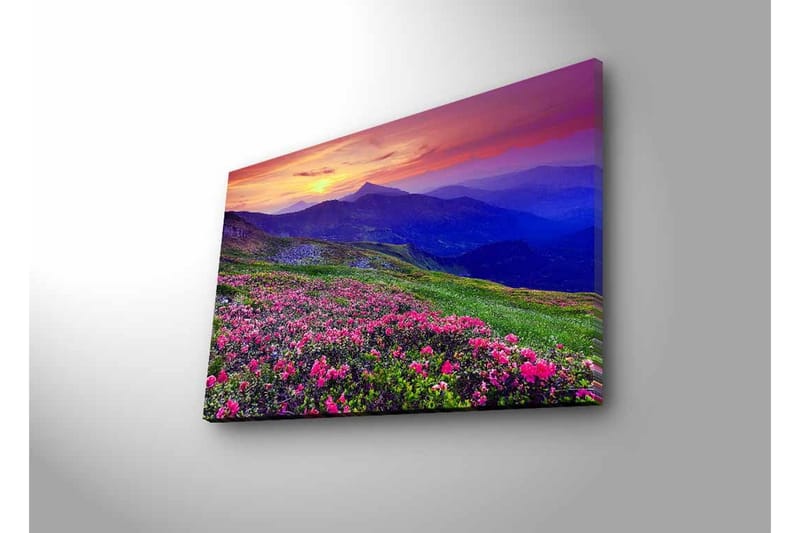 Canvastavla med LED-belysning - Blomstrande äng med färgglada blommor och fjäll i bakgrunden - Lila / Rosa / Grön - Inredning - Tavlor & konst - Canvastavlor
