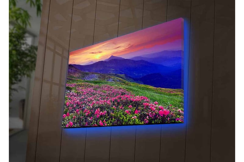 Canvastavla med LED-belysning - Blomstrande äng med färgglada blommor och fjäll i bakgrunden - Lila / Rosa / Grön - Inredning - Tavlor & konst - Canvastavlor
