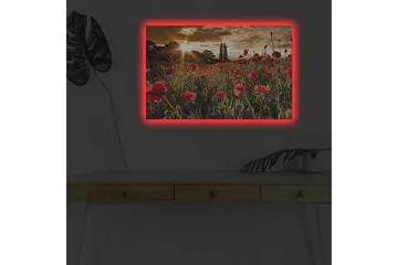 Canvastavla med LED-belysning - Blomstrande vallmofält i solnedgångens ljus - Röd / Grön / Gul - Inredning - Tavlor & konst - Canvastavlor