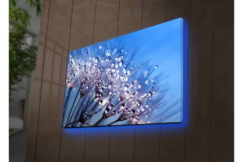 Canvastavla med LED-belysning - Delikat blomsterkomposition med vattendroppar - Blå / Vit / Lila - Inredning - Tavlor & konst - Canvastavlor