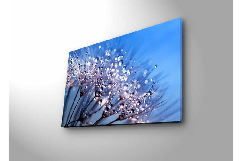Canvastavla med LED-belysning - Delikat blomsterkomposition med vattendroppar - Blå / Vit / Lila - Inredning - Tavlor & konst - Canvastavlor