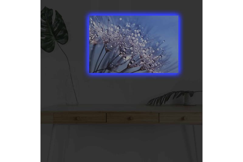 Canvastavla med LED-belysning - Delikat blomsterkomposition med vattendroppar - Blå / Vit / Lila - Inredning - Tavlor & konst - Canvastavlor