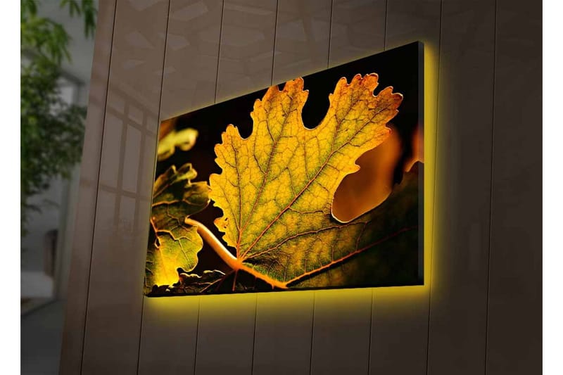 Canvastavla med LED-belysning - Detaljerad komposition av gröna och gyllene löv - Grön / Gyllene - Inredning - Tavlor & konst - Canvastavlor
