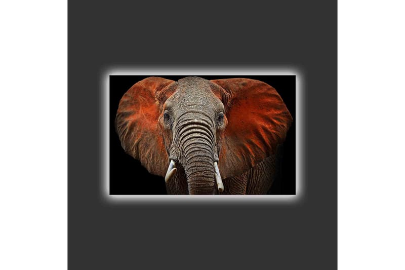 Canvastavla med LED-belysning - Elefant med majestätiska öron i dämpade färger - Grå / Röd / Svart - Inredning - Tavlor & konst - Canvastavlor