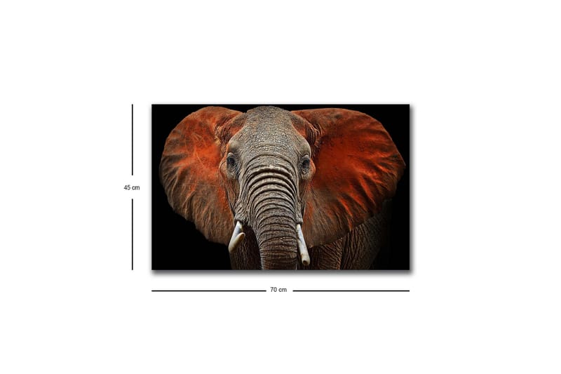 Canvastavla med LED-belysning - Elefant med majestätiska öron i dämpade färger - Grå / Röd / Svart - Inredning - Tavlor & konst - Canvastavlor
