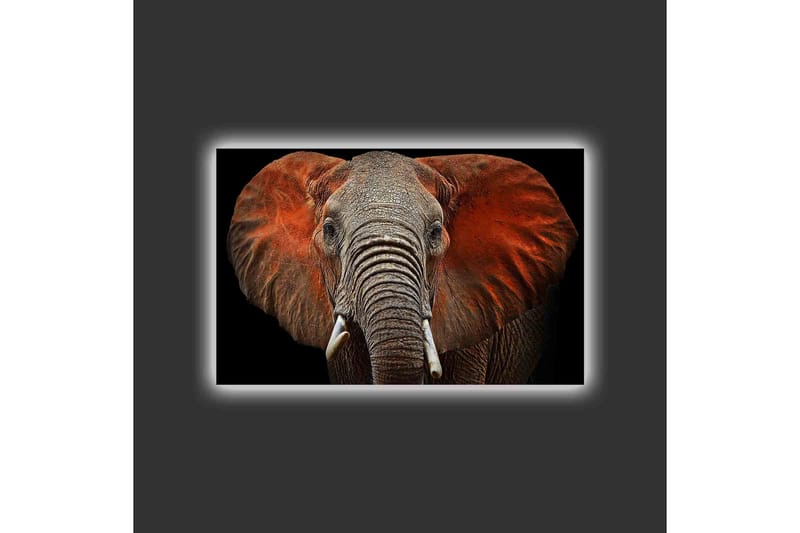 Canvastavla med LED-belysning - Elefant med majestätiska öron i dämpade färger - Grå / Röd / Svart - Inredning - Tavlor & konst - Canvastavlor
