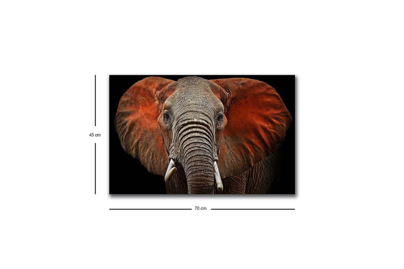 Canvastavla med LED-belysning - Elefant med majestätiska öron i dämpade färger - Grå / Röd / Svart - Inredning - Tavlor & konst - Canvastavlor