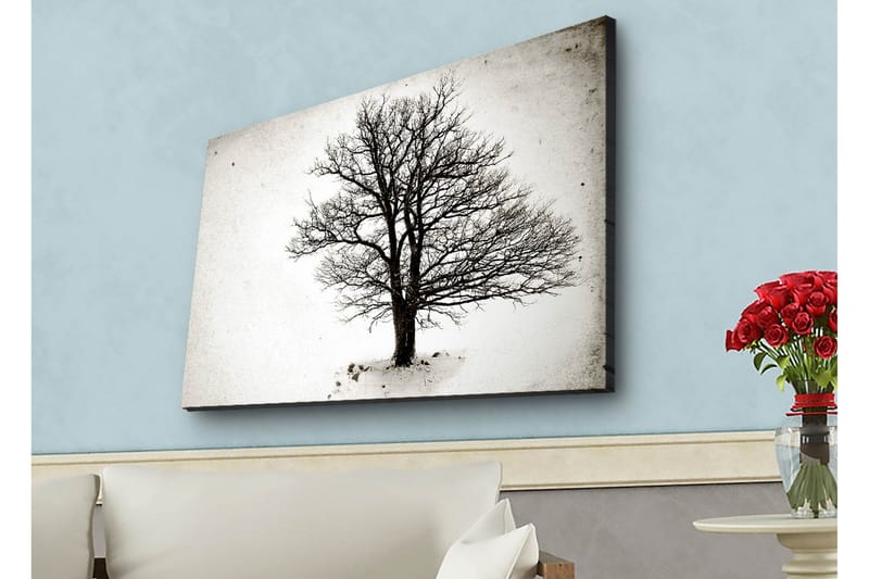Canvastavla med LED-belysning - Ensam, bar trädkrona mot en vit bakgrund - Svart / Vit - Inredning - Tavlor & konst - Canvastavlor