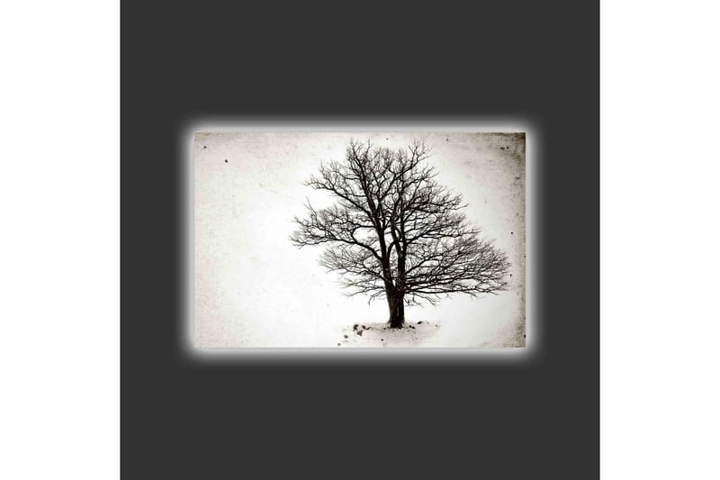 Canvastavla med LED-belysning - Ensam, bar trädkrona mot en vit bakgrund - Svart / Vit - Inredning - Tavlor & konst - Canvastavlor