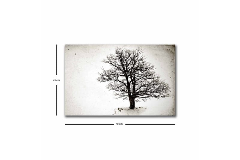 Canvastavla med LED-belysning - Ensam, bar trädkrona mot en vit bakgrund - Svart / Vit - Inredning - Tavlor & konst - Canvastavlor