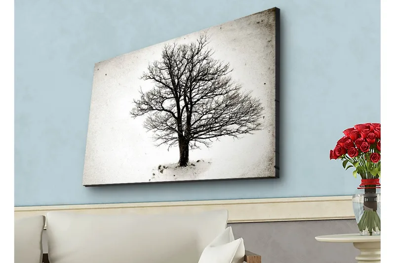 Canvastavla med LED-belysning - Ensam, bar trädkrona mot en vit bakgrund - Svart / Vit - Inredning - Tavlor & konst - Canvastavlor