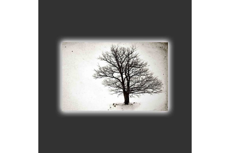 Canvastavla med LED-belysning - Ensam, bar trädkrona mot en vit bakgrund - Svart / Vit - Inredning - Tavlor & konst - Canvastavlor