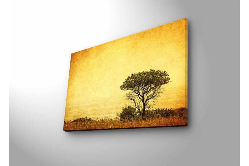 Canvastavla med LED-belysning - Ensam trädkontur mot en gyllene himmel - Guld / Brunt / Svart - Inredning - Tavlor & konst - Canvastavlor