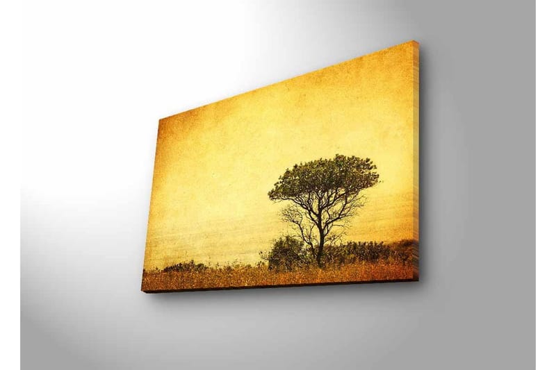 Canvastavla med LED-belysning - Ensam trädkontur mot en gyllene himmel - Guld / Brunt / Svart - Inredning - Tavlor & konst - Canvastavlor