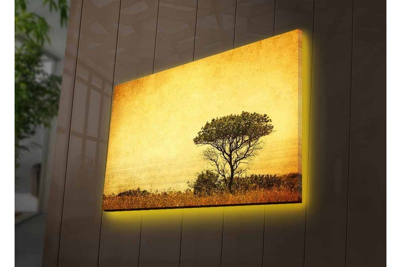 Canvastavla med LED-belysning - Ensam trädkontur mot en gyllene himmel - Guld / Brunt / Svart - Inredning - Tavlor & konst - Canvastavlor