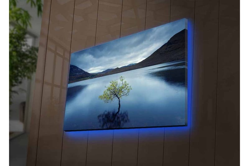 Canvastavla med LED-belysning - Ensam trädkrona som speglas i stilla vatten - Mörkblå / Grön / Grå - Inredning - Tavlor & konst - Canvastavlor