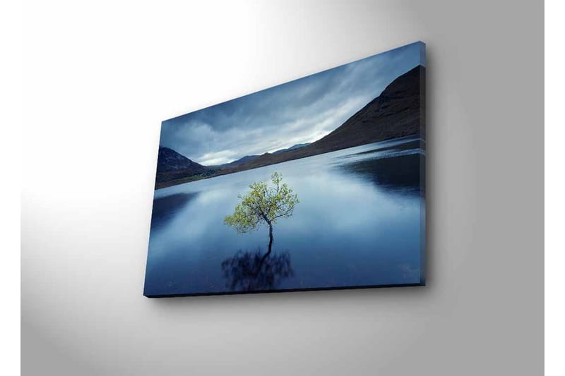 Canvastavla med LED-belysning - Ensam trädkrona som speglas i stilla vatten - Mörkblå / Grön / Grå - Inredning - Tavlor & konst - Canvastavlor