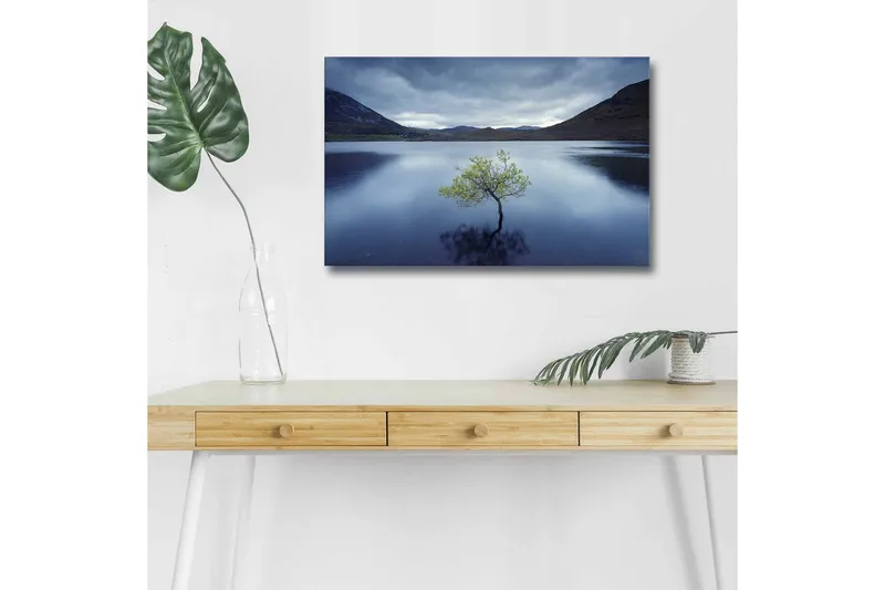 Canvastavla med LED-belysning - Ensam trädkrona som speglas i stilla vatten, Mörkblå / Grön / Grå