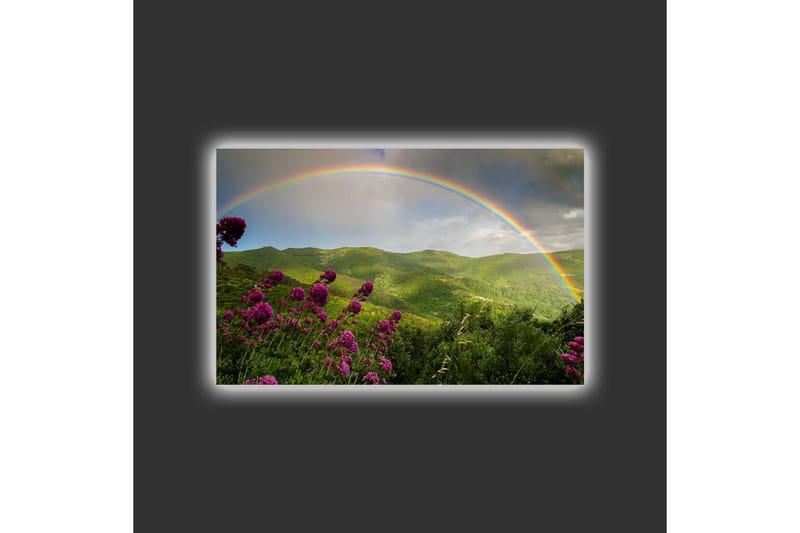 Canvastavla med LED-belysning - Färgglad regnbåge över gröna berg och blommor - Grön / Lila / Blå - Inredning - Tavlor & konst - Canvastavlor