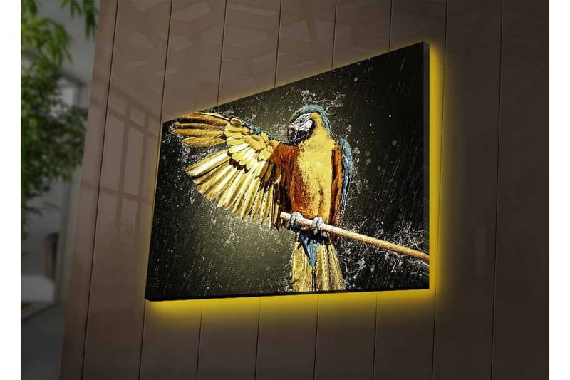 Canvastavla med LED-belysning - Färgglad papegoja med utsträckta vingar - Guld / Blå / Grön - Inredning - Tavlor & konst - Canvastavlor