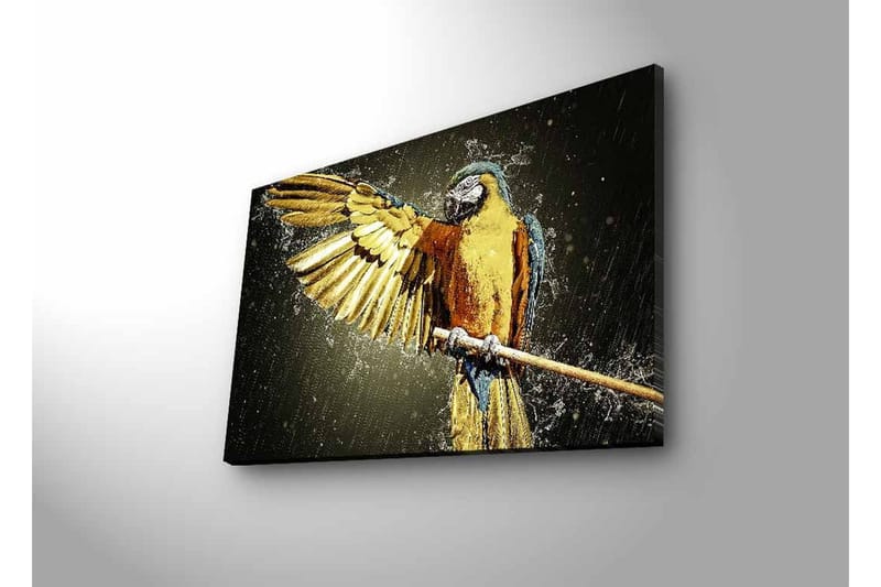 Canvastavla med LED-belysning - Färgglad papegoja med utsträckta vingar - Guld / Blå / Grön - Inredning - Tavlor & konst - Canvastavlor