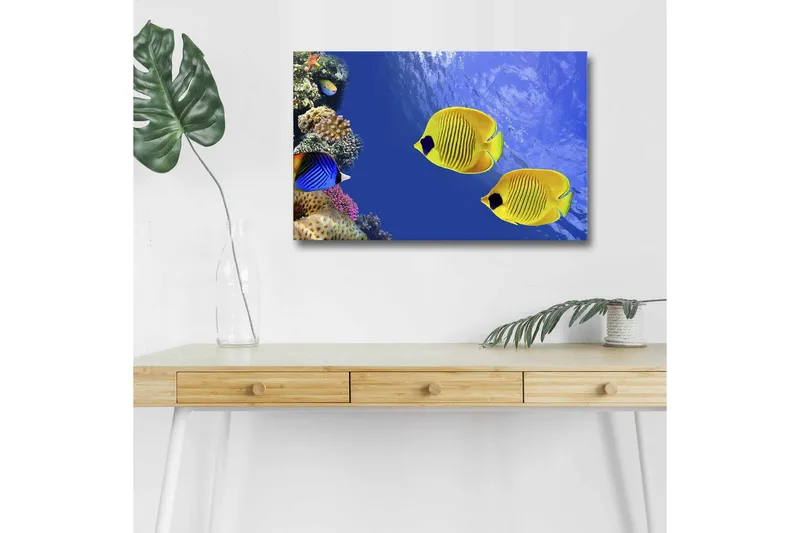 Canvastavla med LED-belysning - Färgglada tropiska fiskar simmande i ett korallrev, Blå / Gul / Lila