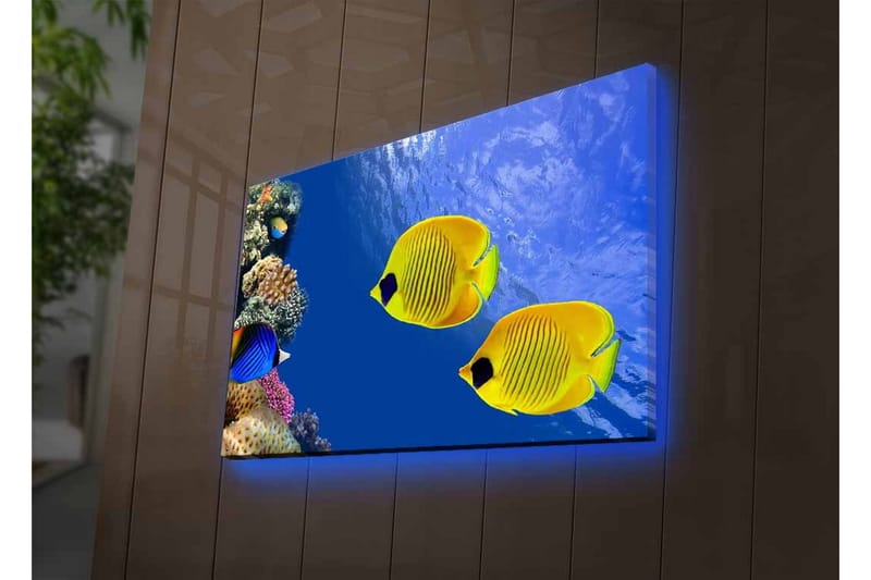 Canvastavla med LED-belysning - Färgglada tropiska fiskar simmande i ett korallrev - Blå / Gul / Lila - Inredning - Tavlor & konst - Canvastavlor