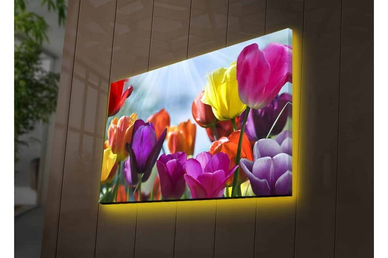 Canvastavla med LED-belysning - Färgrik bukett av tulpaner - Lila / Röd / Gul - Inredning - Tavlor & konst - Canvastavlor