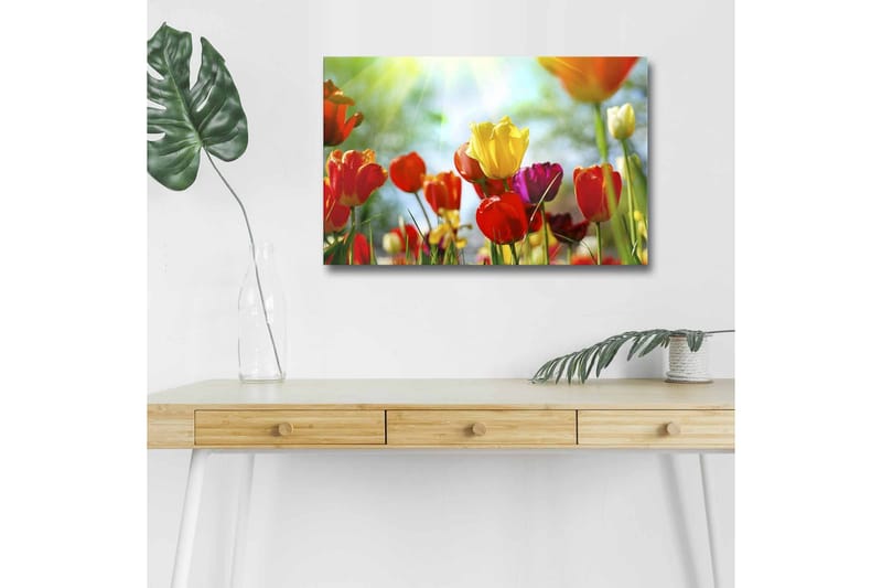 Canvastavla med LED-belysning - Färgrik bukett av tulpaner, Röd / Gul / Lila