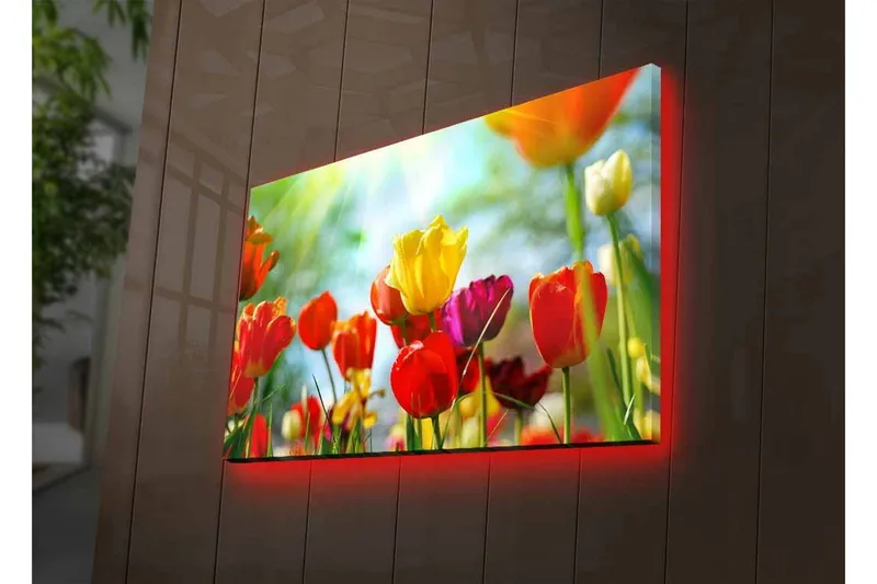 Canvastavla med LED-belysning - Färgrik bukett av tulpaner - Röd / Gul / Lila - Inredning - Tavlor & konst - Canvastavlor