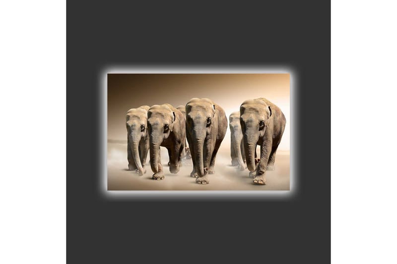 Canvastavla med LED-belysning - Fem elefanter som går i rad genom en sandig miljö - Beige / Brun / Grå - Inredning - Tavlor & konst - Canvastavlor