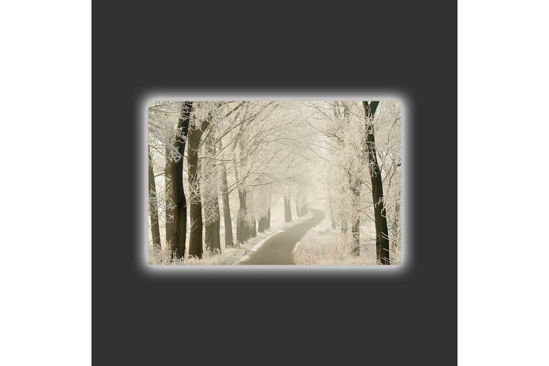Canvastavla med LED-belysning - Frostig väg omgiven av snöklädda träd - Vit / Grå / Svart - Inredning - Tavlor & konst - Canvastavlor