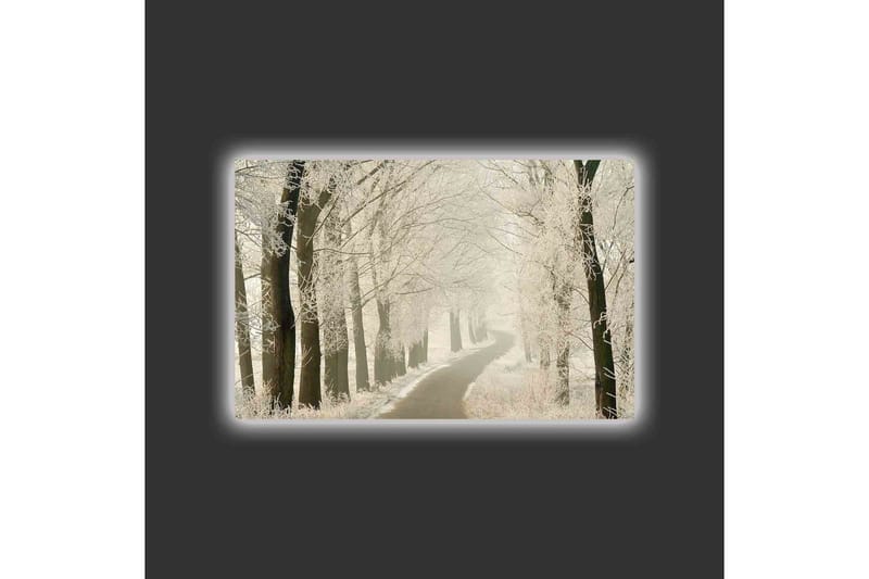 Canvastavla med LED-belysning - Frostig väg omgiven av snöklädda träd - Vit / Grå / Svart - Inredning - Tavlor & konst - Canvastavlor